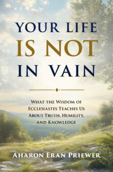 Your Life Is Not in Vain by Aharon Eran Priewer