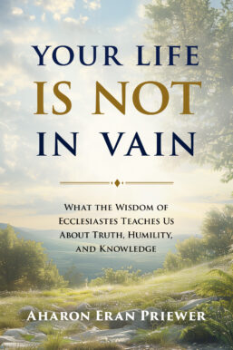 Your Life Is Not in Vain by Aharon Eran Priewer