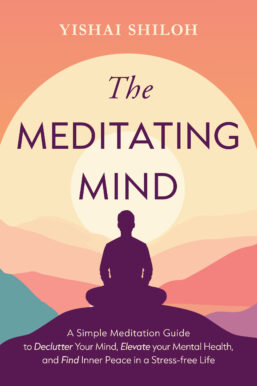 The Meditating Mind by Yishai Quantz