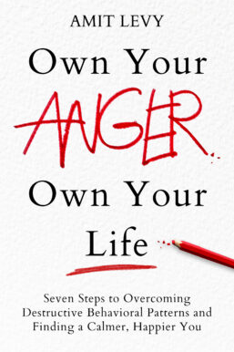 Own Your Anger Own Your Life by Amit Levy