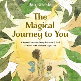 The Magical Journey to You Book 1 By Joy Ritchie