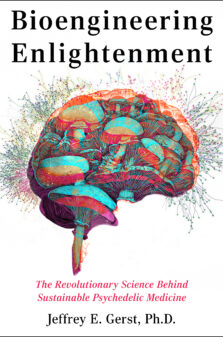 bioengineering enlightment by Jeffrey E. Gerst, Ph.D.