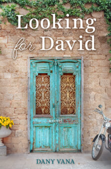 Looking for David: A Novel